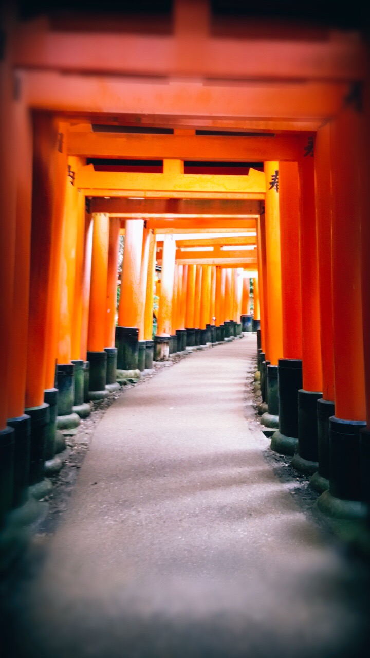 Fushimi Inari torii gates
